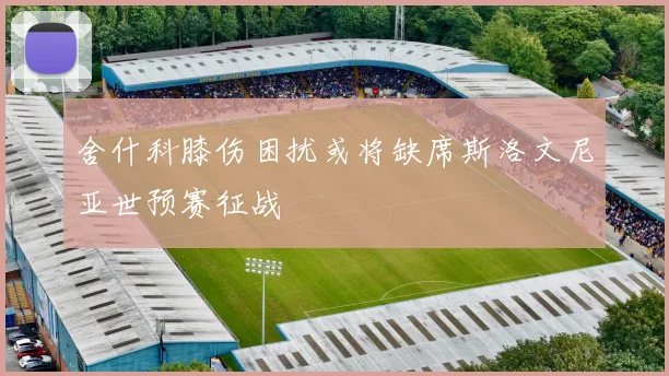 舍什科膝伤困扰或将缺席斯洛文尼亚世预赛征战